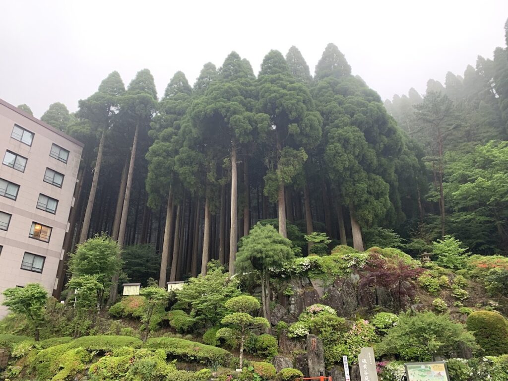 雾岛温泉